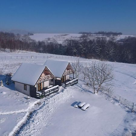 Apartamenty Zywiec Bagian luar foto